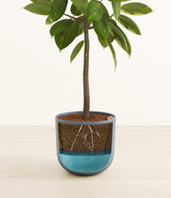 Load image into Gallery viewer, Iron Gray