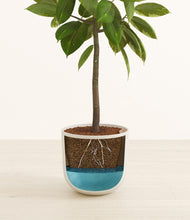 Load image into Gallery viewer, Natural Bamboo