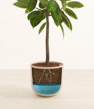 Load image into Gallery viewer, Sandy Pink