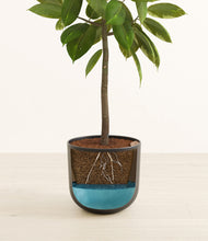 Load image into Gallery viewer, Stone Black