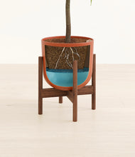 Load image into Gallery viewer, Earth Red stand:walnut