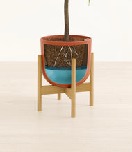 Load image into Gallery viewer, Earth Red stand:bamboo
