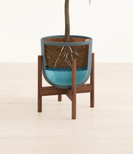 Load image into Gallery viewer, Iron Gray stand:walnut