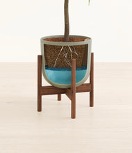 Load image into Gallery viewer, Sage Green stand:walnut