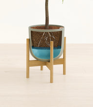 Load image into Gallery viewer, Sage Green stand:bamboo