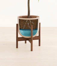 Load image into Gallery viewer, Sandy Pink stand:walnut