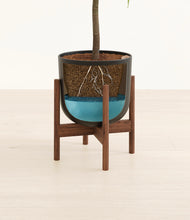 Load image into Gallery viewer, Stone Black stand:walnut