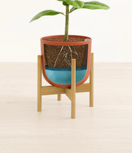 Load image into Gallery viewer, Earth Red stand:bamboo