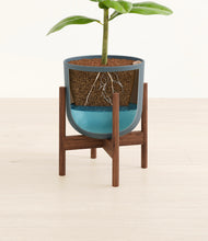 Load image into Gallery viewer, Iron Gray stand:walnut