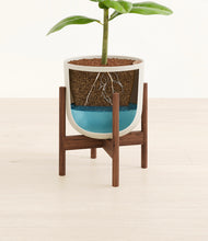Load image into Gallery viewer, Natural Bamboo stand:walnut