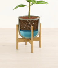 Load image into Gallery viewer, Sage Green stand:bamboo