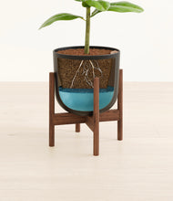 Load image into Gallery viewer, Stone Black stand:walnut