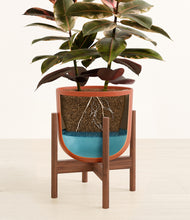 Load image into Gallery viewer, Earth Red stand:walnut