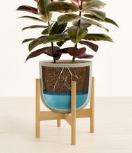 Load image into Gallery viewer, Sage Green stand:bamboo
