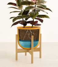 Load image into Gallery viewer, Sunset Orange stand:bamboo