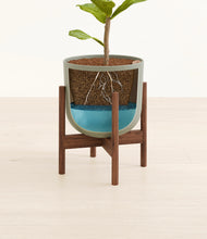 Load image into Gallery viewer, Sage Green stand:walnut