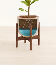Load image into Gallery viewer, Sandy Pink stand:walnut