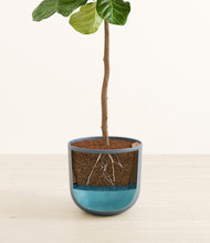 Load image into Gallery viewer, Iron Gray