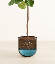 Load image into Gallery viewer, Stone Black