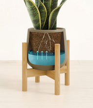 Load image into Gallery viewer, Olive stand:bamboo