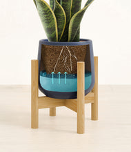 Load image into Gallery viewer, Deep Navy stand:bamboo