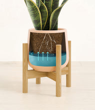 Load image into Gallery viewer, Gentle Pink stand:bamboo