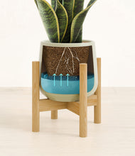 Load image into Gallery viewer, Turquoise stand:bamboo