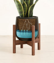 Load image into Gallery viewer, Black stand:walnut