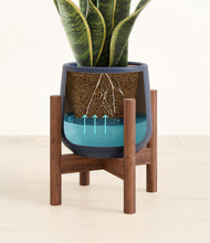 Load image into Gallery viewer, Deep Navy stand:walnut