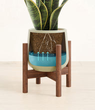 Load image into Gallery viewer, Turquoise stand:walnut