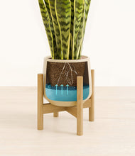 Load image into Gallery viewer, Almond Green stand:bamboo