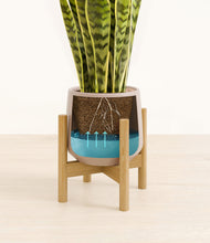 Load image into Gallery viewer, Eternal Gray stand:bamboo