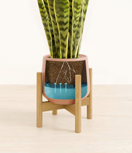 Load image into Gallery viewer, Calm Rose stand:bamboo