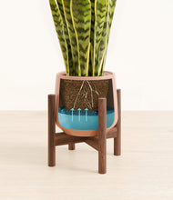 Load image into Gallery viewer, Calm Rose stand:walnut