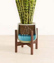 Load image into Gallery viewer, Turquoise stand:walnut