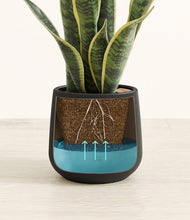 Load image into Gallery viewer, Black