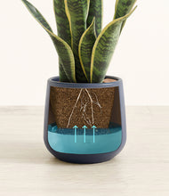 Load image into Gallery viewer, Deep Navy