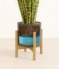 Load image into Gallery viewer, Dark Olive stand:bamboo