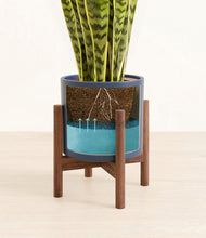 Load image into Gallery viewer, Deep Navy stand:walnut