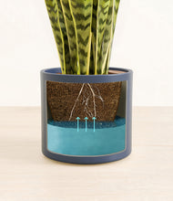 Load image into Gallery viewer, Deep Navy