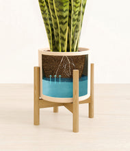 Load image into Gallery viewer, Cream stand:bamboo