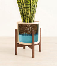 Load image into Gallery viewer, Cream stand:walnut