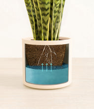 Load image into Gallery viewer, Cream