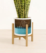 Load image into Gallery viewer, White stand:bamboo