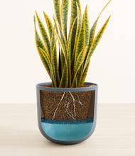 Load image into Gallery viewer, Iron Gray