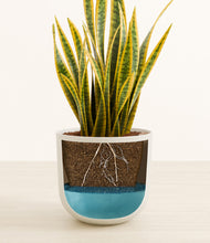 Load image into Gallery viewer, Natural Bamboo