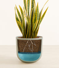 Load image into Gallery viewer, Sage Green