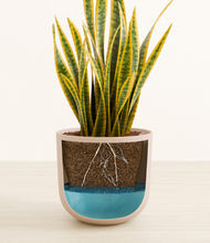 Load image into Gallery viewer, Sandy Pink