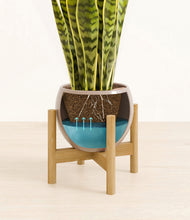 Load image into Gallery viewer, Desert Brown stand:bamboo