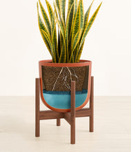 Load image into Gallery viewer, Earth Red stand:walnut